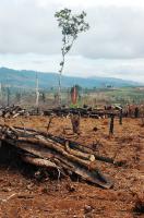 FAO-EU project to promote climate-smart farming Malawi, Vietnam and Zambia
